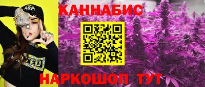 spice Бердск