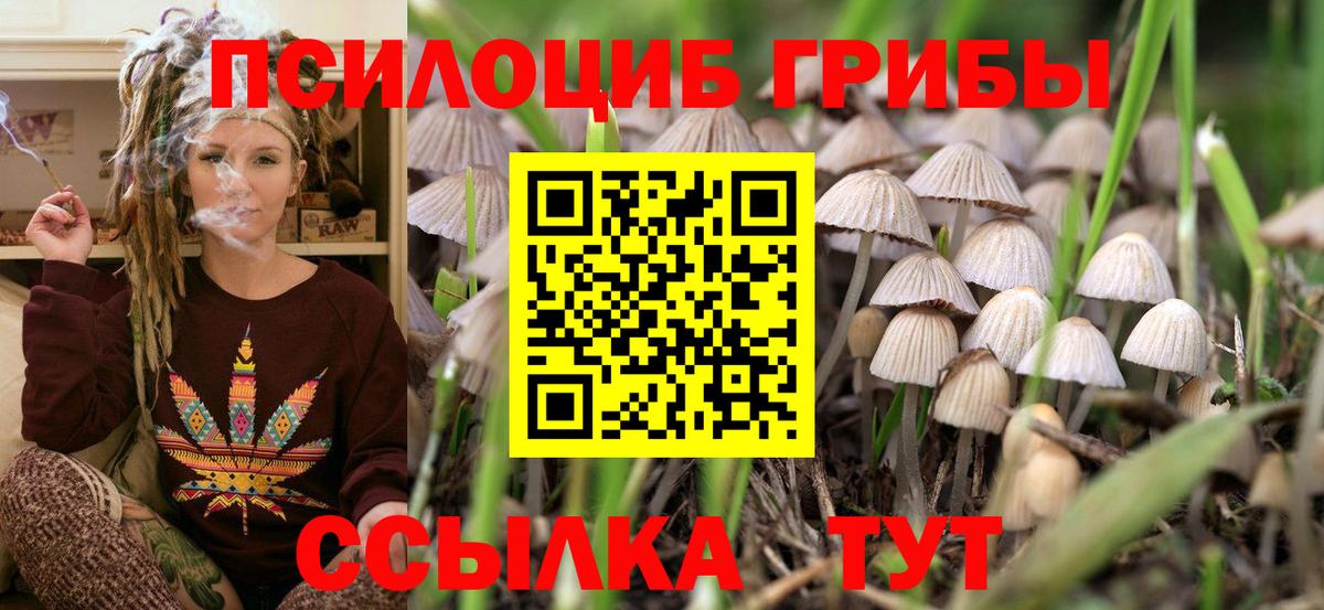 Псилоцибиновые грибы мицелий Артёмовский